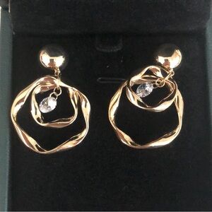 Women’s earrings
